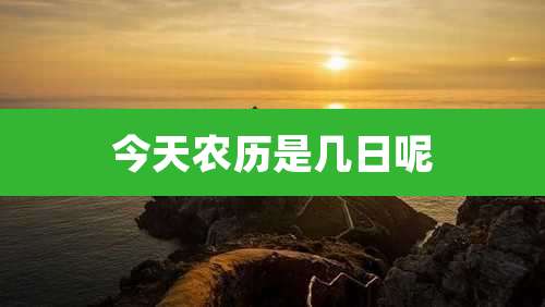 今天农历是几日呢