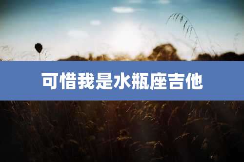 可惜我是水瓶座吉他