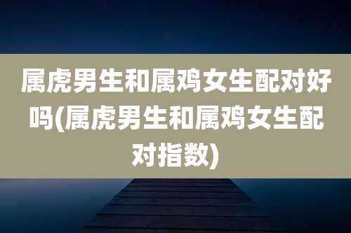 属虎男生和属鸡女生配对好吗(属虎男生和属鸡女生配对指数)