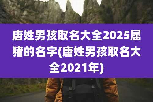 唐姓男孩取名大全2025属猪的名字(唐姓男孩取名大全2021年)