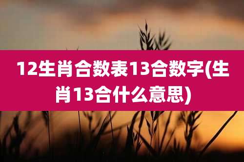 12生肖合数表13合数字(生肖13合什么意思)