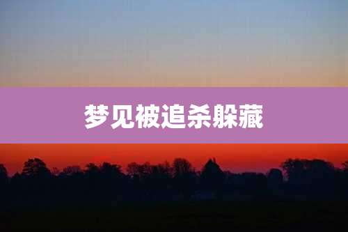 梦见被追杀躲藏