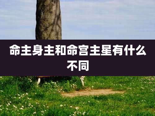 命主身主和命宫主星有什么不同