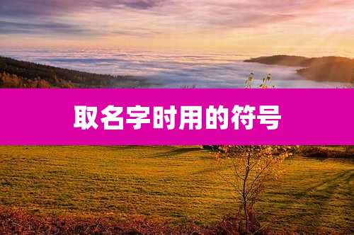 取名字时用的符号