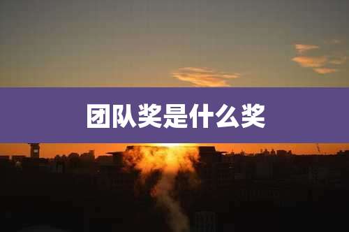 团队奖是什么奖