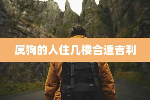 属狗的人住几楼合适吉利