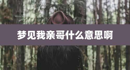 梦见我亲哥什么意思啊