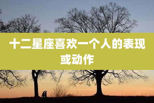 十二星座喜欢一个人的表现或动作
