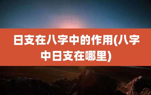 日支在八字中的作用(八字中日支在哪里)