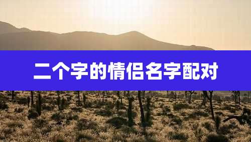 二个字的情侣名字配对