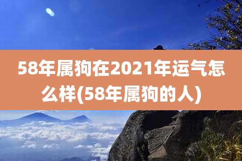 58年属狗在2021年运气怎么样(58年属狗的人)