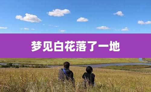 梦见白花落了一地