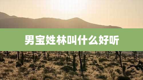 男宝姓林叫什么好听