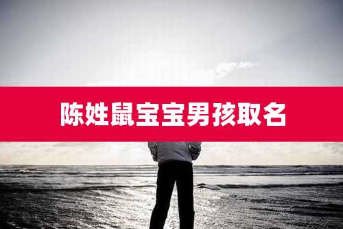 陈姓鼠宝宝男孩取名