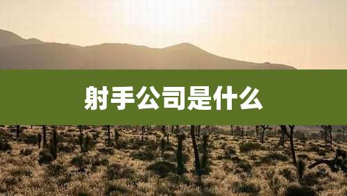 射手公司是什么