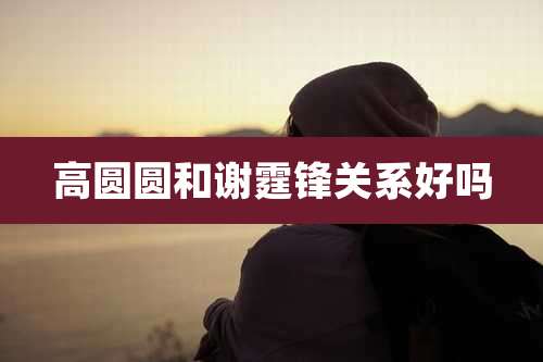 高圆圆和谢霆锋关系好吗