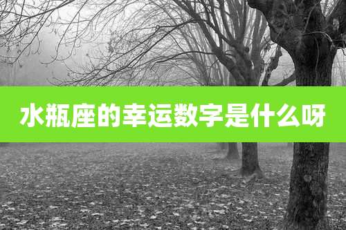 水瓶座的幸运数字是什么呀