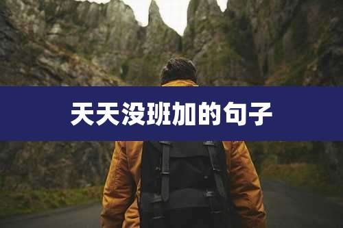 天天没班加的句子