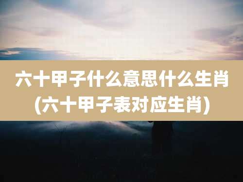 六十甲子什么意思什么生肖(六十甲子表对应生肖)