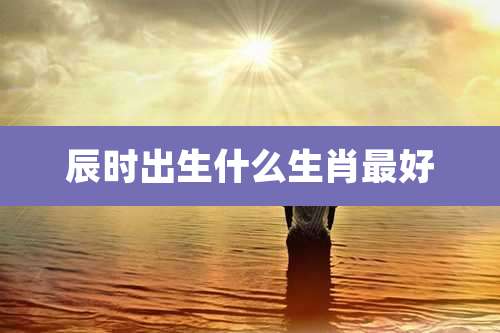 辰时出生什么生肖最好