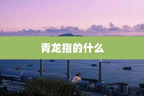 青龙指的什么