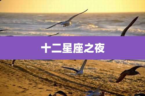 十二星座之夜