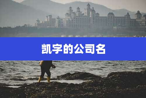 凯字的公司名