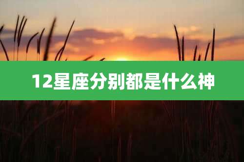 12星座分别都是什么神