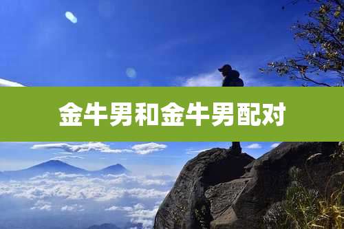 金牛男和金牛男配对