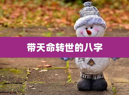 带天命转世的八字