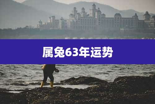 属兔63年运势
