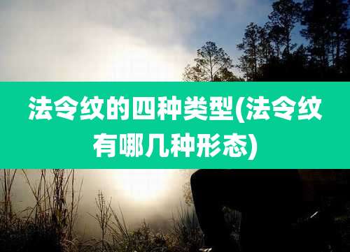 法令纹的四种类型(法令纹有哪几种形态)