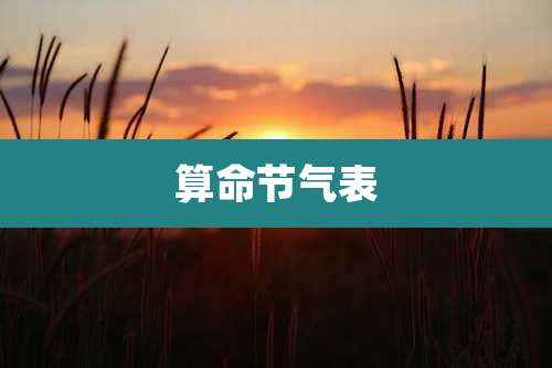 算命节气表