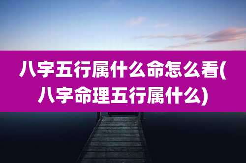 八字五行属什么命怎么看(八字命理五行属什么)