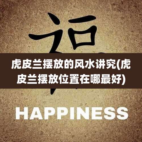 虎皮兰摆放的风水讲究(虎皮兰摆放位置在哪最好)