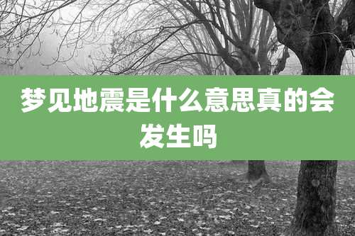 梦见地震是什么意思真的会发生吗