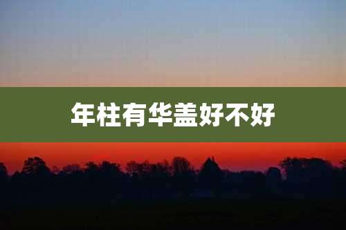 年柱有华盖好不好