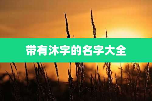 带有沐字的名字大全