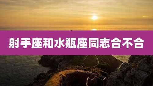 射手座和水瓶座同志合不合