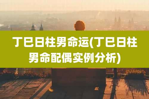 丁巳日柱男命运(丁巳日柱男命配偶实例分析)