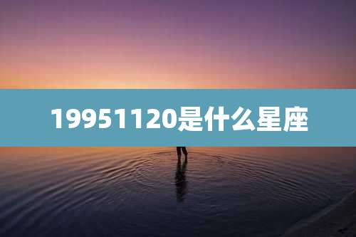 19951120是什么星座