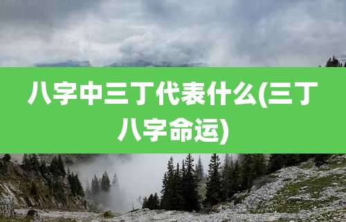 八字中三丁代表什么(三丁八字命运)