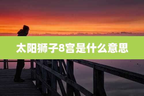 太阳狮子8宫是什么意思