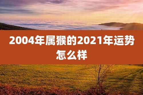 2004年属猴的2021年运势怎么样