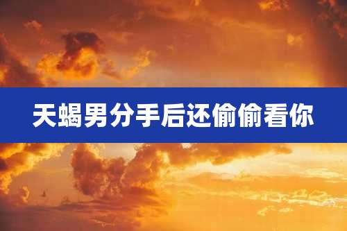 天蝎男分手后还偷偷看你