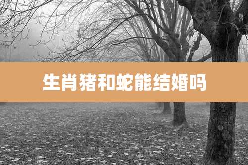 生肖猪和蛇能结婚吗