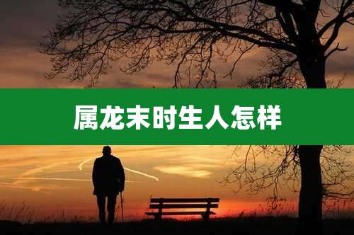 属龙末时生人怎样