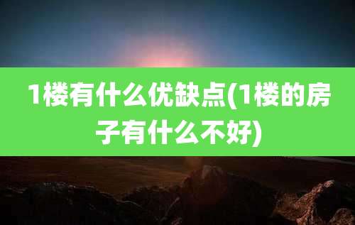 1楼有什么优缺点(1楼的房子有什么不好)