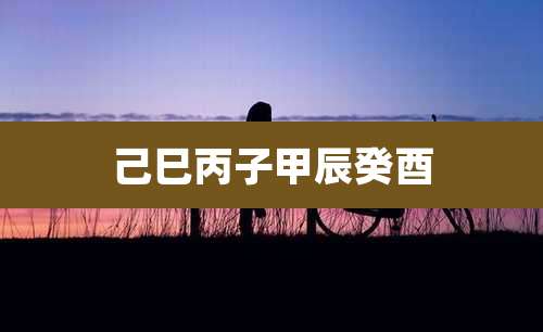 己巳丙子甲辰癸酉