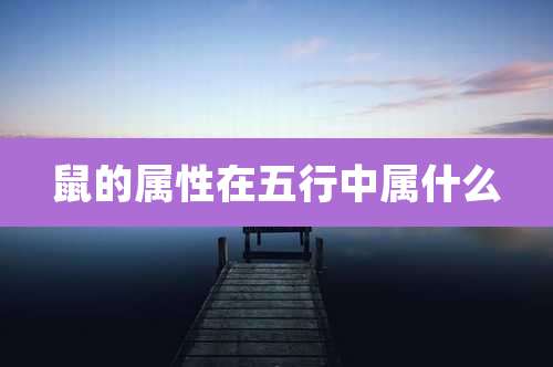 鼠的属性在五行中属什么